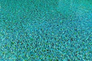 《Cheaters Cheetah》Steam上线 全员作弊者大混战